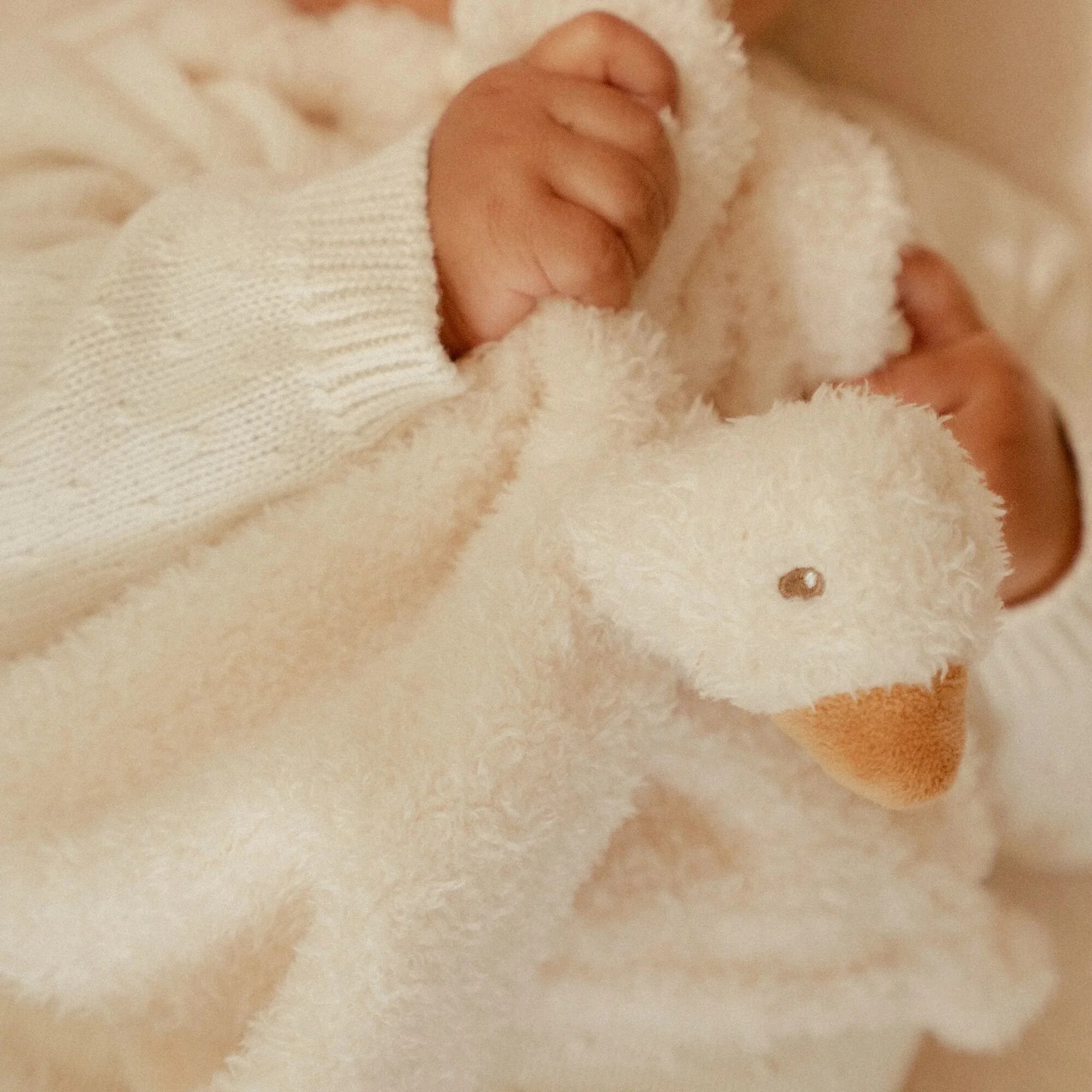 imgi_39_0029859_knuffeldoekje-little-goose