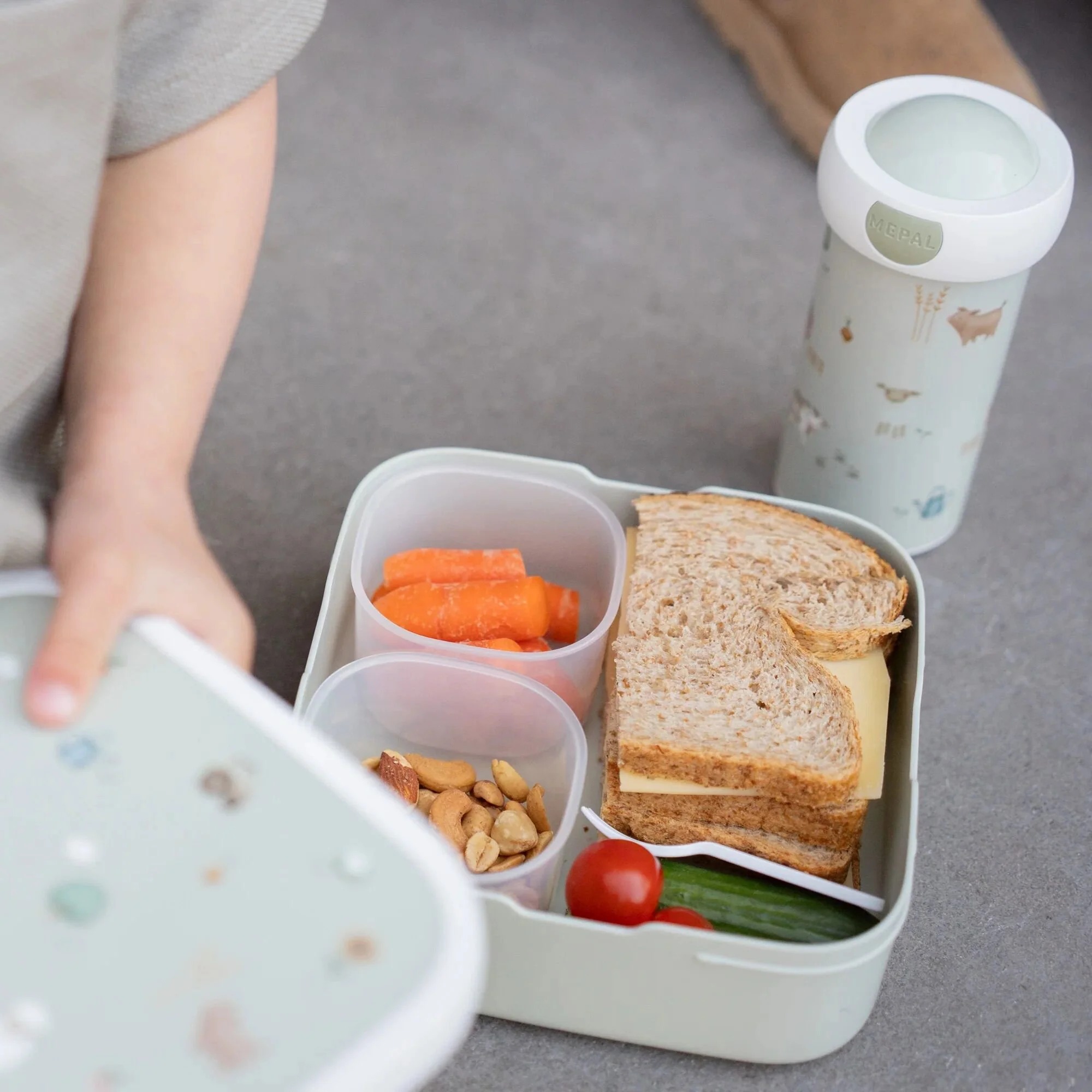 imgi_34_0029378_bento-lunchbox-groot-little-farm